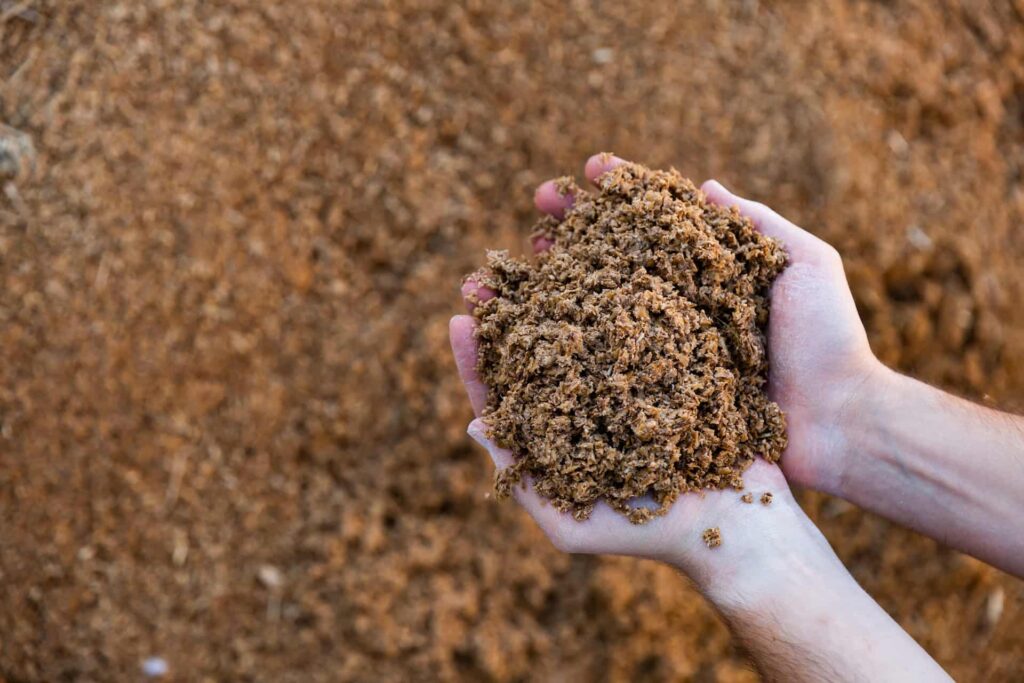 Bioeconomia circular