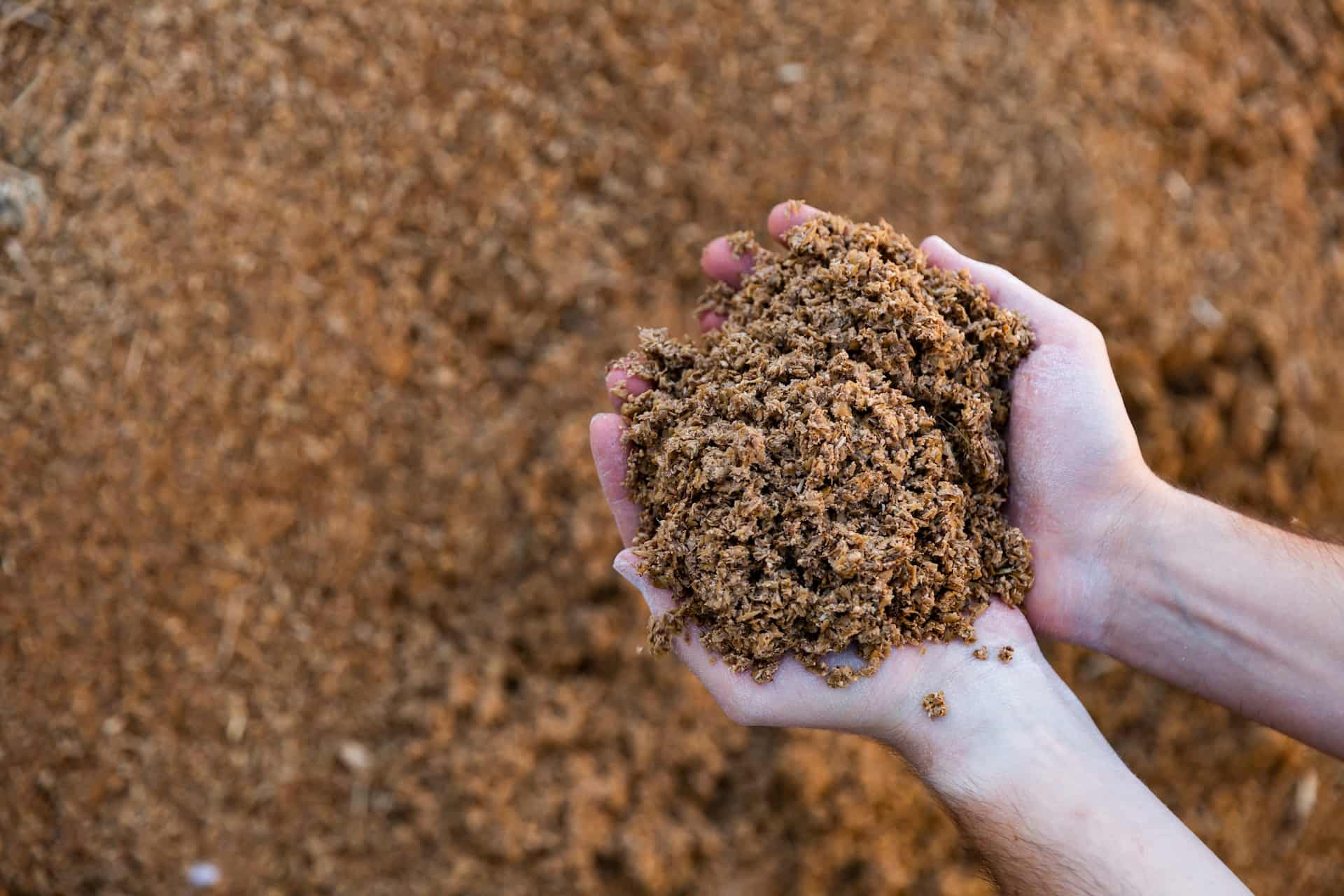 Bioeconomia circular